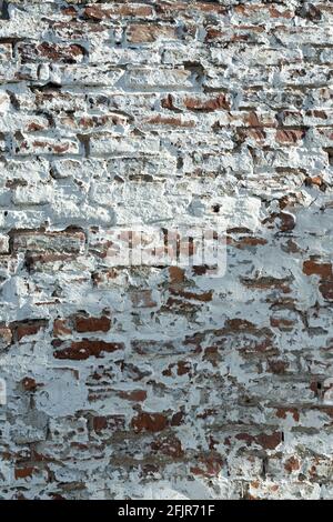 A whitewashed grungy brick wall with the red bricks visible in places in sunlight with shadow. Stock Photo