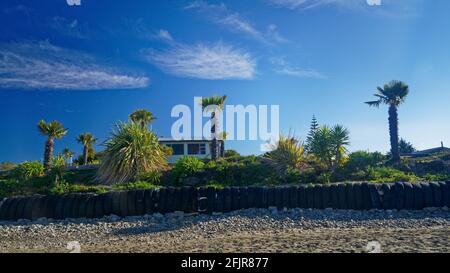 A bach or small cottage with cabbage trees on Motueka seafront with an old car tyre sea wall, Tasman region, New Zealand. Stock Photo