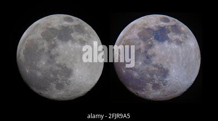 96% illuminated waxing gibbous Moon against black sky late evening from London, UK on 25 April 2021 through a telescope. Side by side comparison images: Left hand image is a standard photo of the almost full Moon; right hand image is colour enhanced to illustrate mineral deposits on the lunar surface. Credit: Malcolm Park/Alamy. Stock Photo