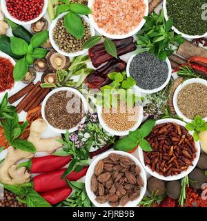 Fresh & dried spices & herb seasoning collection in porcelain bowls and loose. Flat lay. Stock Photo