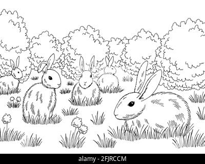 Rabbits in a meadow graphic black white sketch illustration vector Stock Vector