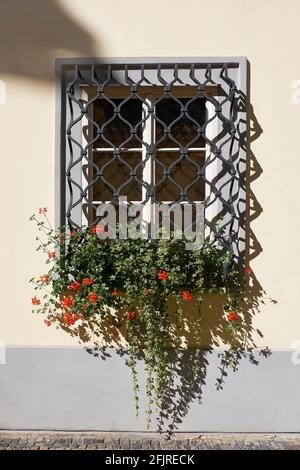 Prague iron grated window with red geranium flowers. Architecture detail of historic building in Czech Republic capital. Stock Photo