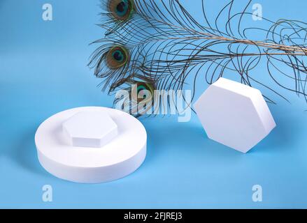 Abstract minimal scene with peacock feathers and geometric shapes for cosmetics on a blue paper background. Stock Photo