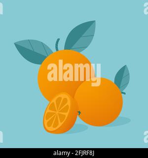 Modern vector illustration of oranges. Oranges whole and slices of orange with leaves isolated on blue background Stock Vector