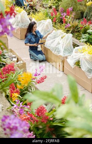 Young Asian woman working in greenhouse, she is checking online orders and packing flowers for customers Stock Photo