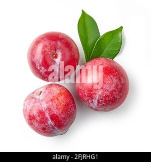 fresh red plums and green leaves isolated on white background, top view Stock Photo