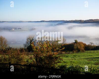 Morning mist near Kingsdown, Bath. Stock Photo