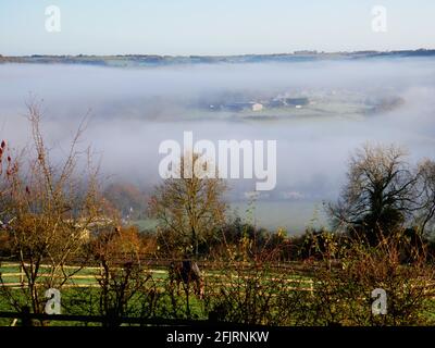 Morning mist near Kingsdown, Bath. Stock Photo