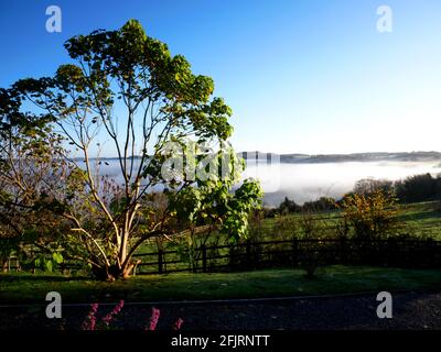 Morning mist near Kingsdown, Bath. Stock Photo