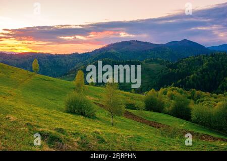 rolling rural mountain landscape at dusk. gorgeous nature scenery in spring. clouds on the sky in evening light Stock Photo