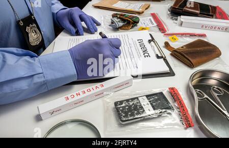 Specialised police officer Counting dollar banknotes in crime lab, conceptual image Stock Photo