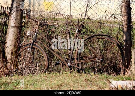 Abandoned old vintage retro bicycle with completely rusted frame mounted on top of broken tyres and with broken seat left in suburban family house bac Stock Photo