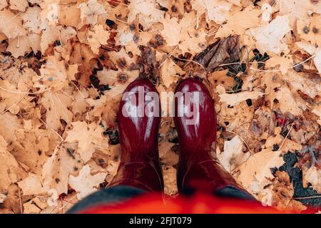 Female feet in burgundy rubber boots stand on fallen autumn leaves in a park or forest on the street Stock Photo