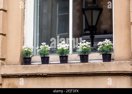 Artificial flowers in pots on an outdoor window ledge, UK Stock Photo