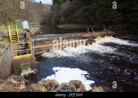 Traditional fish trap salmon hi-res stock photography and images - Alamy