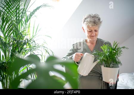 Happy senior woman watering potted plants at home. Stock Photo
