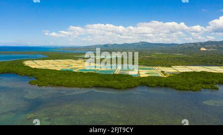 Shrimp Pond and Shrimp Farm. Bohol, Philippines. Ponds for shrimp farming. Stock Photo