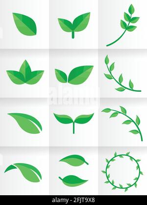 Isolated leaf design Stock Vector Image & Art - Alamy