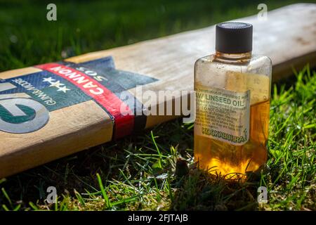 Preparation for a new cricket season,kaloam,loam,linseed oil, oiling a cricket bat, village cricket,Raw Linseed Oil a traditional oil for nourishing Stock Photo