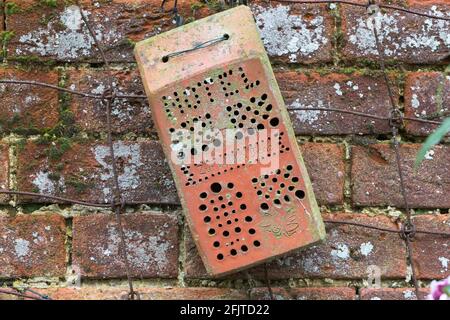 Insect box for garden wildlife made from brick, Pensthorpe, Norfolk, UK Stock Photo