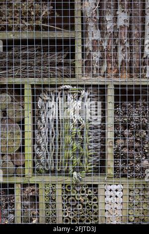 Insect box for garden wildlife, Pensthorpe, Norfolk, UK, Stock Photo