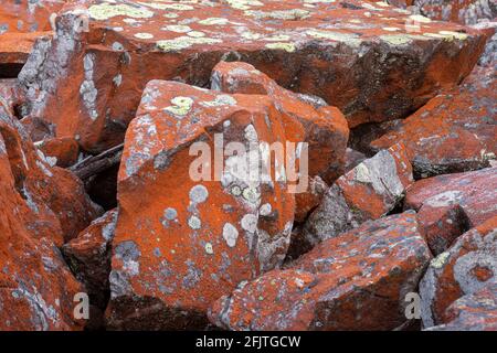 Quartzite sandstone rocks in the Harz mountains, Lower Saxony, Germany. Bruchberg mountain in the Upper Harz, Harz National Park. Stock Photo