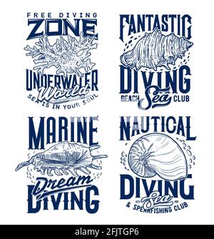 Mollusks and sea snails seashells, corals colony t-shirt print template. Marine diving and spearfishing club clothing custom print with spider and que Stock Vector