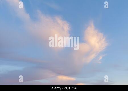 Pink sunset clouds and blue sky weather background Stock Photo
