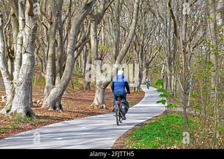 Dutch cyclists cycling on their bicycles on concrete cycle path / bicycle track winding through forest in spring near Alkmaar, North Holland / Noord-H Stock Photo