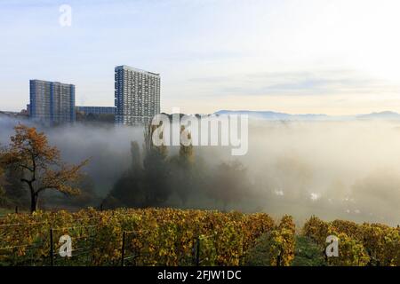 Switzerland, Canton of Geneva, Vernier, the city of Le Lignon, town-planning complex built from 1960, the Rhone river below Stock Photo
