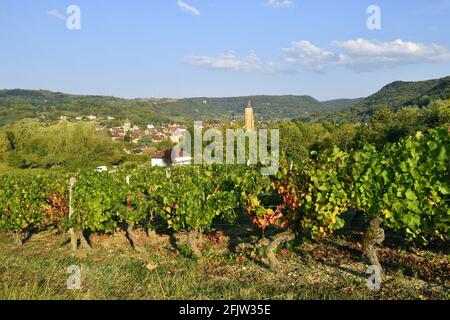 France, Jura, Arbois, the vineyard with on the right Saint Just church tower, Bontemps castel and the beltower of the former collegiate Notre Dame on the left Stock Photo