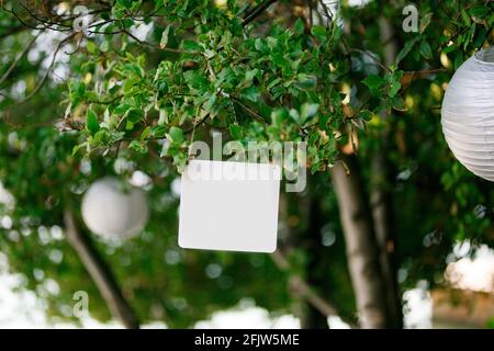 Blank rectangular plaque hanging on a green tree next to the lamps Stock Photo