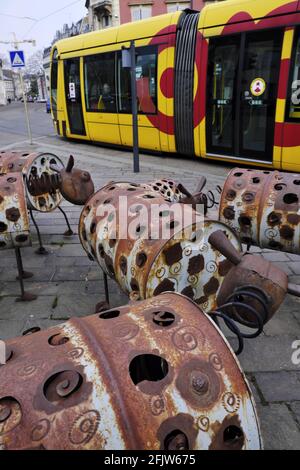 France, Haut Rhin, Mulhouse, Porte Haute district, street, street-art, sheep in cans and springs, passage of the tram Stock Photo