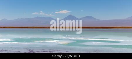 Tebinquinche lagoon, desert in Salar de Atacama, San Pedro Atacama, Altiplano, Chile Stock Photo