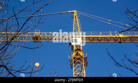 Yellow construction crane against bright blue sky background, framed by tree brunches on spring sunny day, view from bottom. Stock Photo