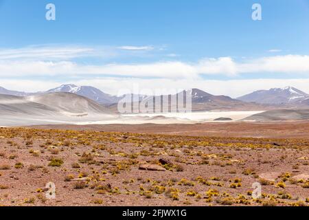 View from the Route 23, the scenic road in the north of Chile, running from Calama to Sico Pass, the border with Argentina. The road passes near Misca Stock Photo