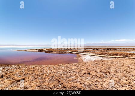 Tebinquinche lagoon, desert in Salar de Atacama, San Pedro Atacama, Altiplano, Chile Stock Photo