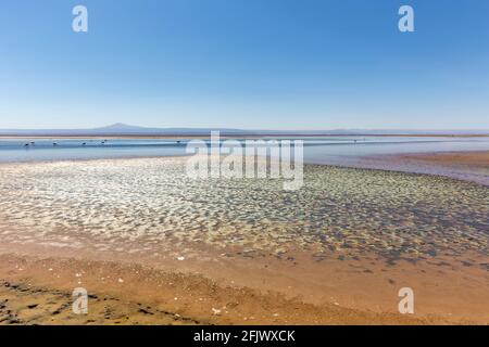 Beautiful landscape of the Chaxa Lagoon Laguna with reflection of surroundings and blue sky in Salar of Atacama, Chile Stock Photo