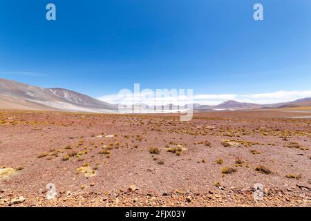 View from the Route 23, the scenic road in the north of Chile, running from Calama to Sico Pass, the border with Argentina. The road passes near Misca Stock Photo