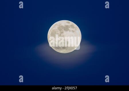 Tonight's full super moon, also known as the the Pink moon, rises over  East Sussex,UK. Credit: Ed Brown/Alamy Live News Stock Photo