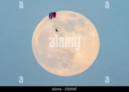 Glastonbury, Somerset, UK.  26th April 2021.  UK Weather.  A union flag paramotor flies in front of the full pink super moon as it rises in to the sky at Glastonbury in Somerset on a clear evening.  Picture Credit: Graham Hunt/Alamy Live News Stock Photo