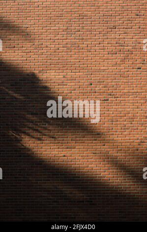 Sunlight and shadows on brick wall Stock Photo