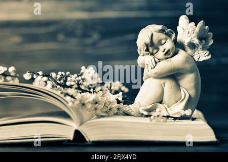 Angel and spring flowers on the book Stock Photo