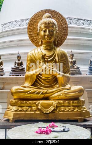 Buddha statue in Gangaramaya Buddhist Temple in Colombo, Sri Lanka Stock Photo