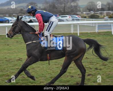 jslides ludlow pony