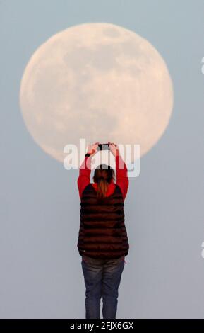 New Forest, Hampshire. 26th April 2021. UK Weather. A woman watches the Full Pink Super moon as it rises over Lyndhurst in the New Forest. Credit Stuart Martin/Alamy Live News Stock Photo