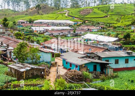 Tea plantations and Bandara Eliya settlement near Haputale, Sri Lanka Stock Photo