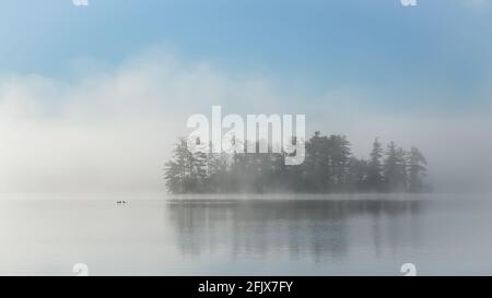 Fog and Loons on Cobbossee Lake, Maine Stock Photo