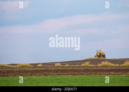 Farmer working on a yellow tractor against the backdrop of the sky. Arable fields in undulating terrain. Photo taken in the late afternoon. Soft light Stock Photo