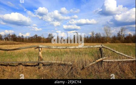 Landscape with old broken wooden fence on dry pasture Stock Photo